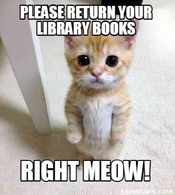 Meme Creator - Funny Please return your library books Right Meow! Meme  Generator at !