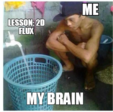 me-my-brain-lesson-2d-flux