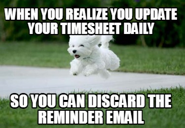 when-you-realize-you-update-your-timesheet-daily-so-you-can-discard-the-reminder
