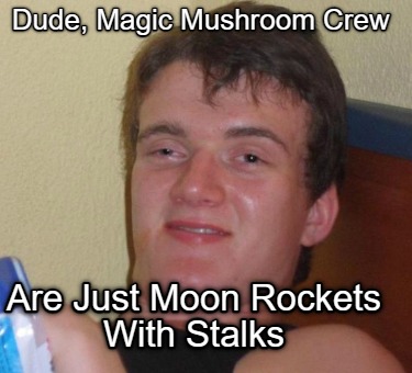 dude-magic-mushroom-crew-are-just-moon-rockets-with-stalks
