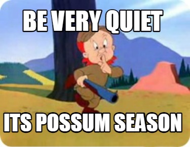 be-very-quiet-its-possum-season