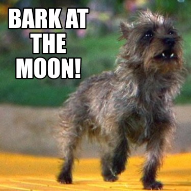 bark-at-the-moon