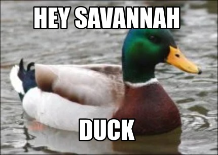 hey-savannah-duck
