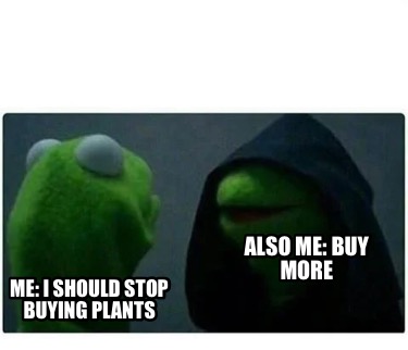 me-i-should-stop-buying-plants-also-me-buy-more