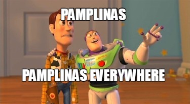 pamplinas-pamplinas-everywhere
