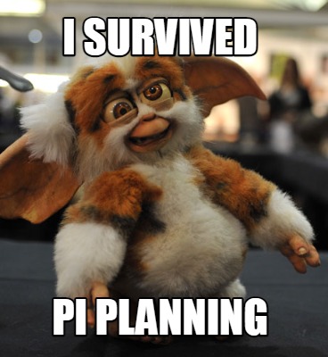 i-survived-pi-planning