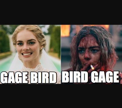 gage-bird-bird-gage