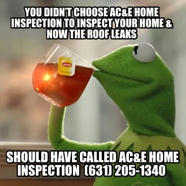 you-didnt-choose-ace-home-inspection-to-inspect-your-home-now-the-roof-leaks-sho