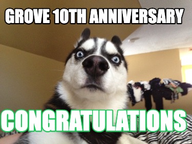 grove-10th-anniversary-congratulations