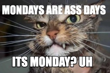 mondays-are-ass-days-its-monday-uh