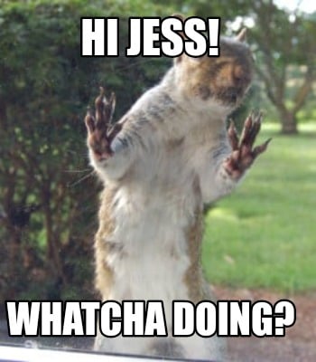 hi-jess-whatcha-doing