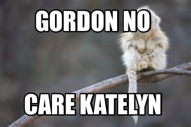 gordon-no-care-katelyn