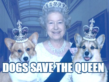 dogs-save-the-queen7