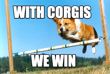 with-corgis-we-win