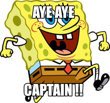 Meme Creator - Funny AYE AYE CAPTAIN Meme Generator at MemeCreator.org!