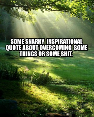 some-snarky-inspirational-quote-about-overcoming-some-things-or-some-shit