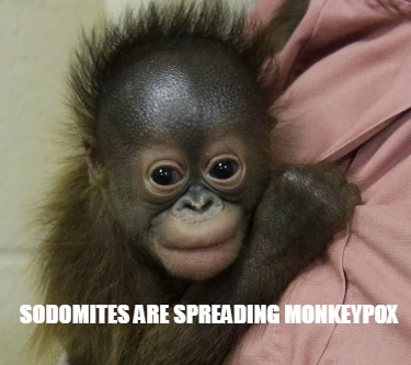 sodomites-are-spreading-monkeypox