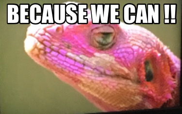 because-we-can-