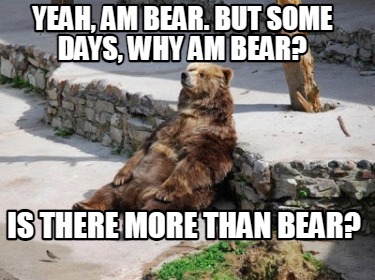 yeah-am-bear.-but-some-days-why-am-bear-is-there-more-than-bear4