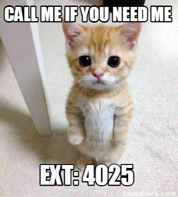 call me whenever you need meme
