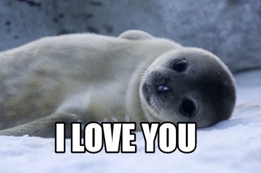Meme Creator - Funny I love you Meme Generator at MemeCreator.org!