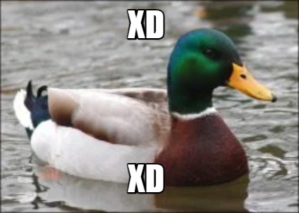xd-xd4