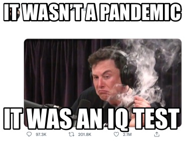 it-wasnt-a-pandemic-it-was-an-iq-test