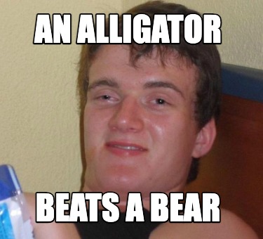 an-alligator-beats-a-bear