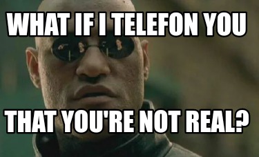 what-if-i-telefon-you-that-youre-not-real