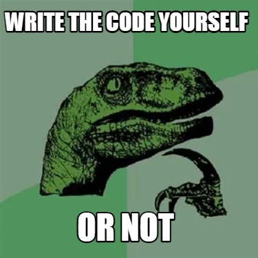write-the-code-yourself-or-not