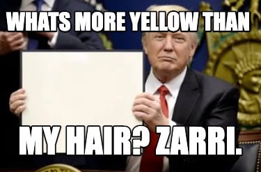 whats-more-yellow-than-my-hair-zarri