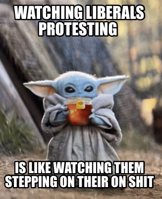 watching-liberals-protesting-is-like-watching-them-stepping-on-their-on-shit