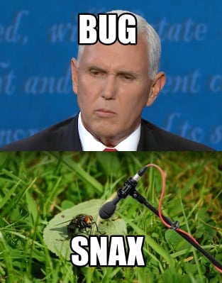 bug-snax