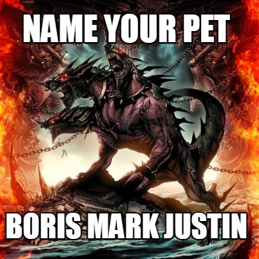 name-your-pet-boris-mark-justin