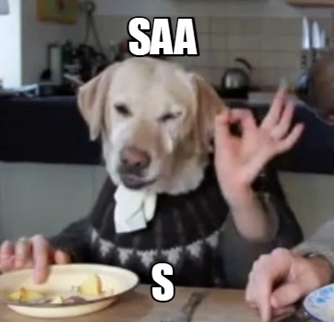 saa-s