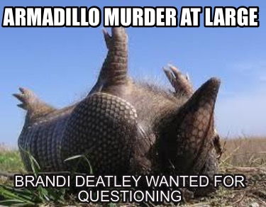 armadillo-murder-at-large-brandi-deatley-wanted-for-questioning