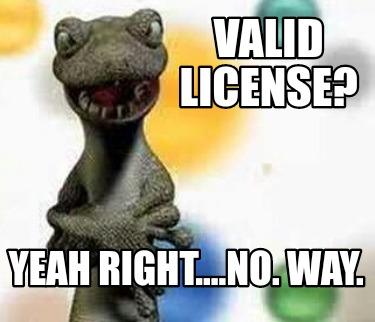 valid-license-yeah-right....no.-way