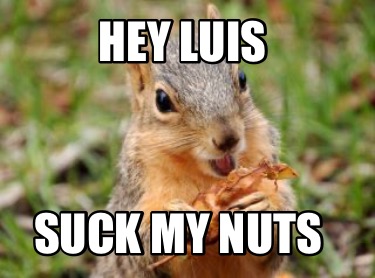 hey-luis-suck-my-nuts
