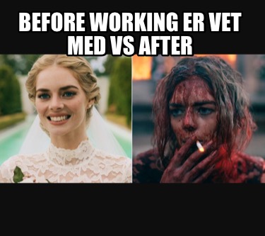before-working-er-vet-med-vs-after