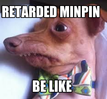 retarded-minpin-be-like