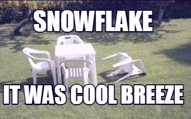 snowflake-it-was-cool-breeze