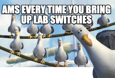 ams-every-time-you-bring-up-lab-switches