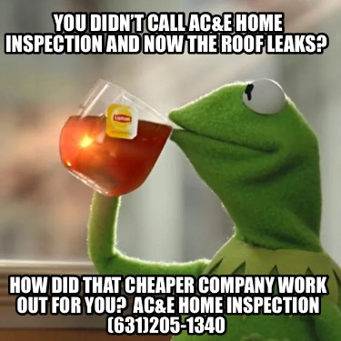 you-didnt-call-ace-home-inspection-and-now-the-roof-leaks-how-did-that-cheaper-c
