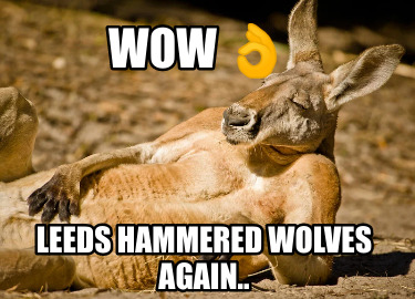 wow-leeds-hammered-wolves-again