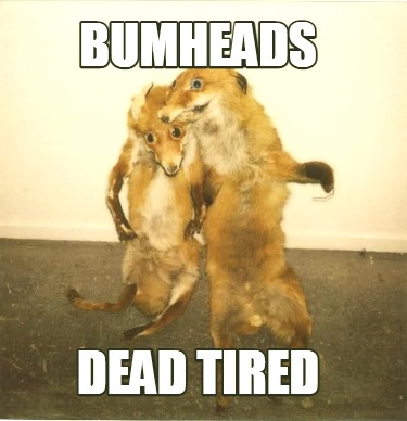 Meme Creator - Funny bumheads dead tired Meme Generator at !