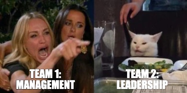 team-1-management-team-2-leadership