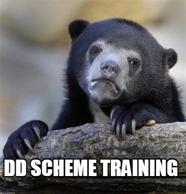 dd-scheme-training