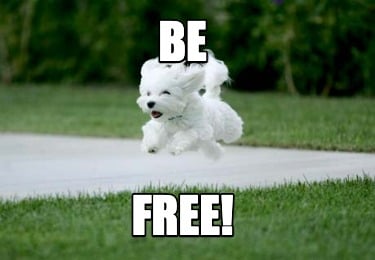 be-free7