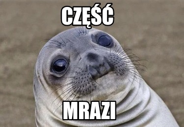 cz-mrazi4