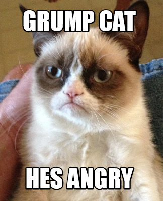 grump-cat-hes-angry
